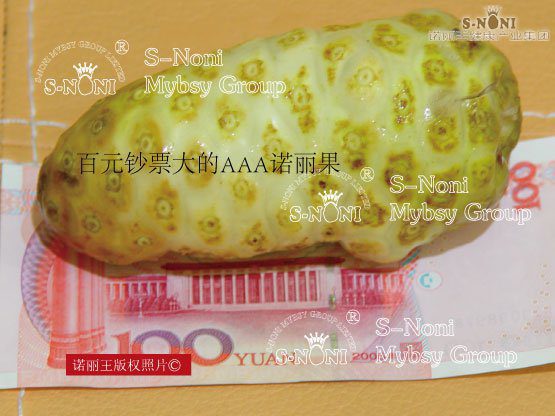 公告-第7张图片
