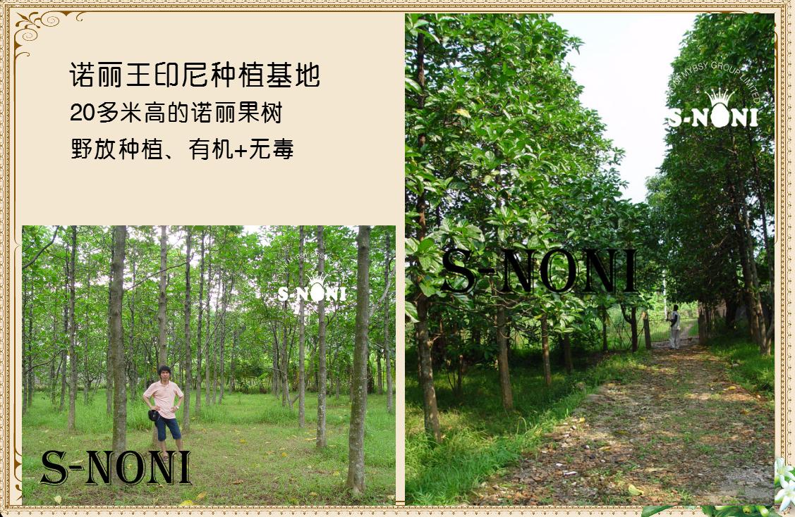 公告-第5张图片