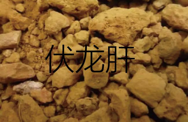 中医将亡于中药!谁来救救中药?(全文)-第1张图片