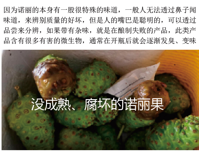 诺丽的产地与技术是决定质量的关键因素-第5张图片